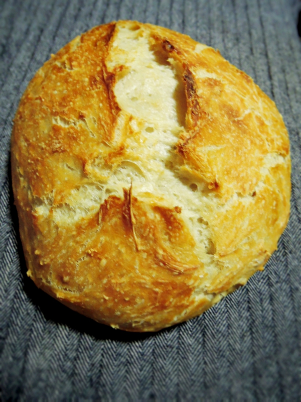 beginners no knead peasant bread.2