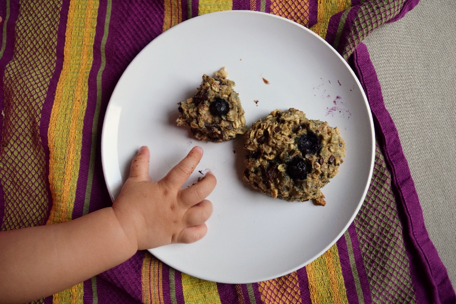Blueberry breakfast cookies with dark chocolate