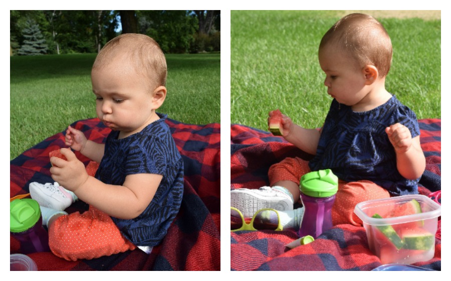 picnic with baby