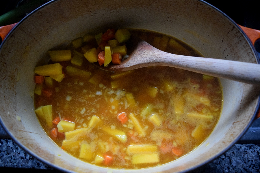 gingered-squash-and-vegetable-soup-6