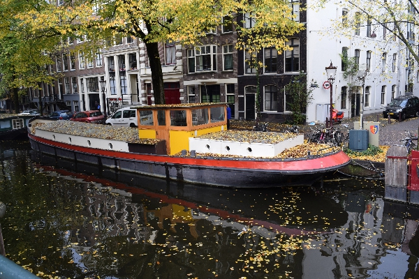 amsterdam-boathouse