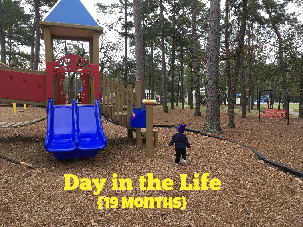 Day in the life {19 months}